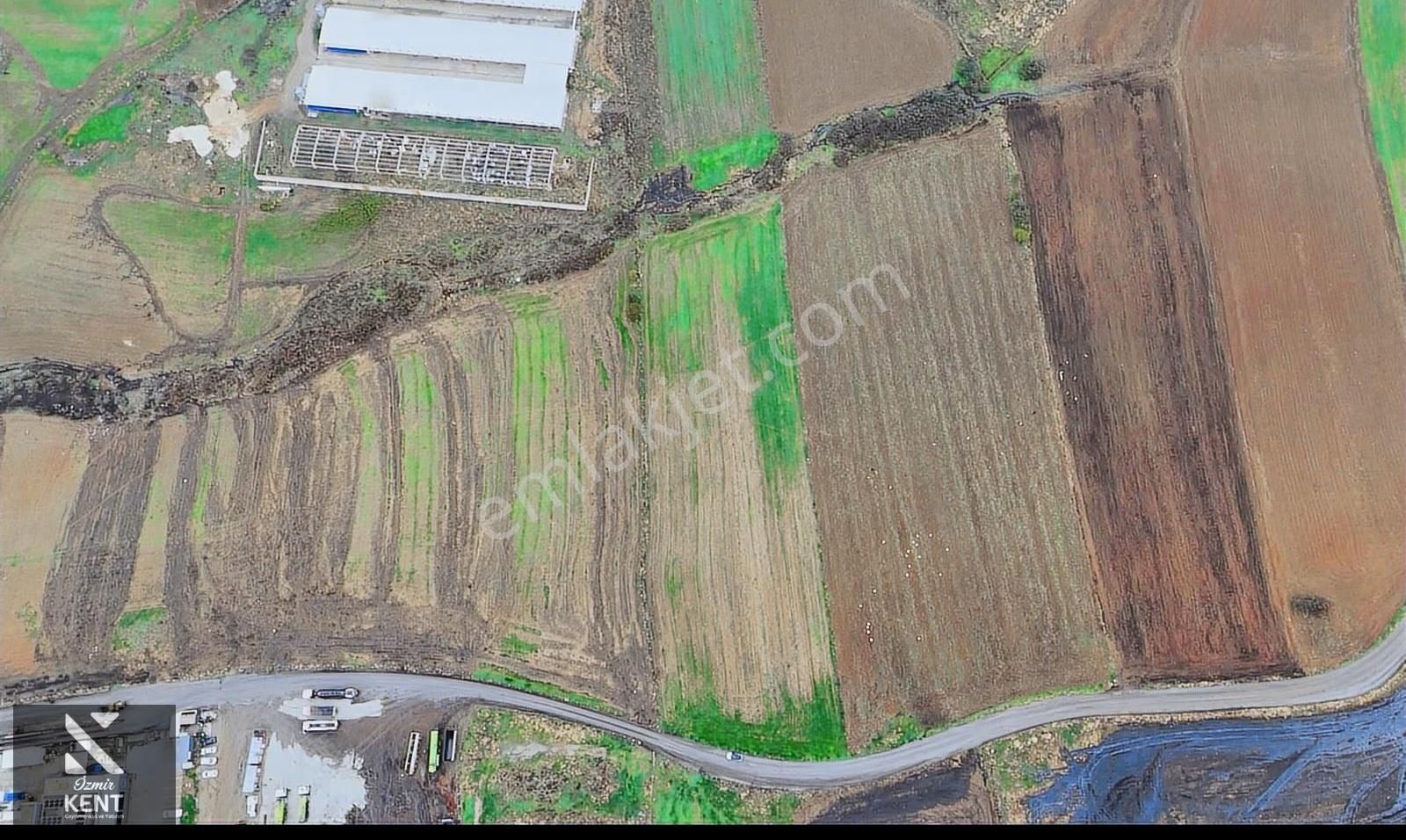Kemalpaşa Halilbeyli 10.084m2 Arazi Sanayi Bölgesi - Görsel 13