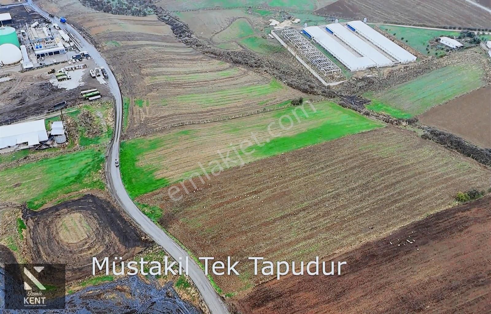 Kemalpaşa Halilbeyli 10.084m2 Arazi Sanayi Bölgesi - Görsel 15