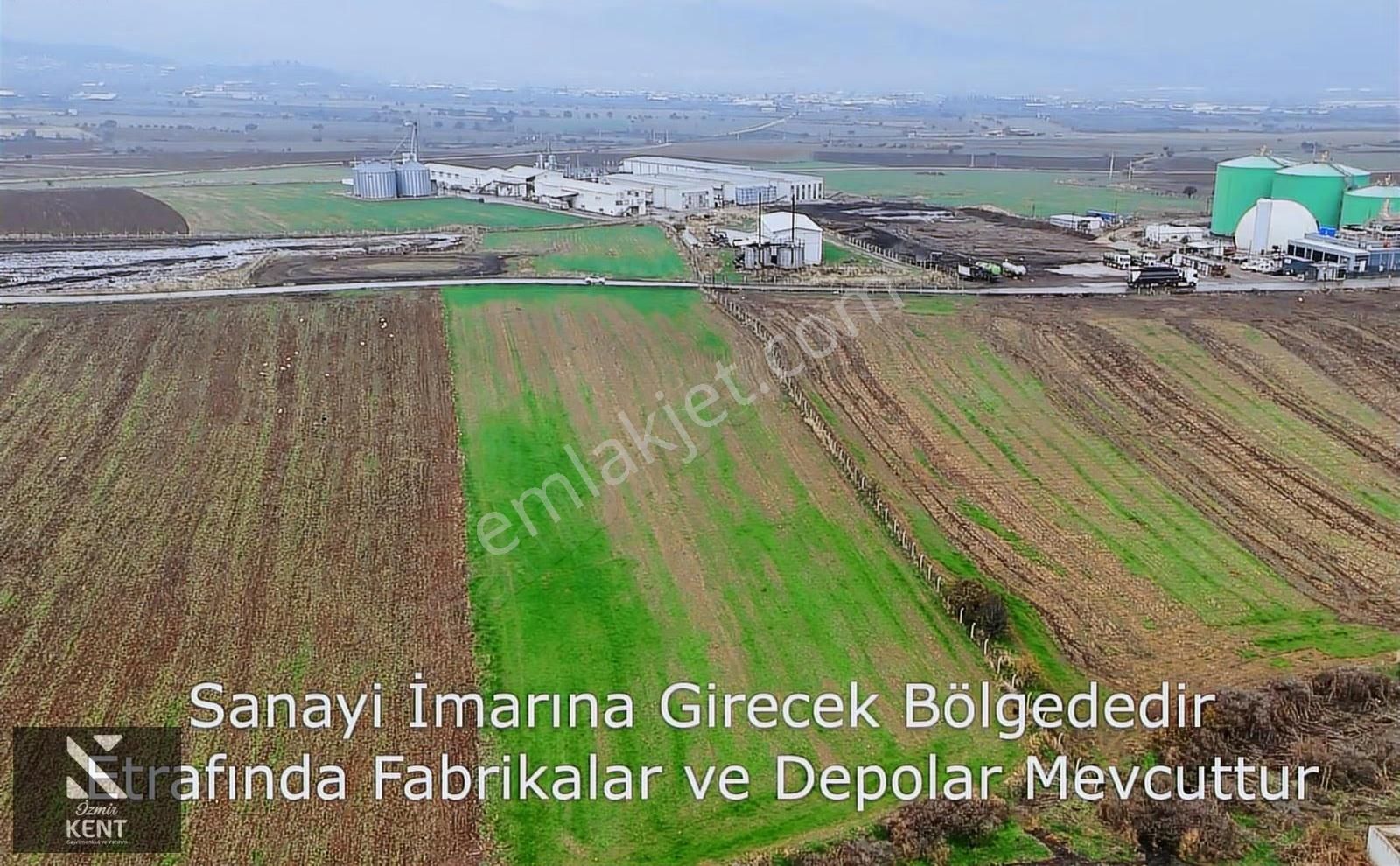 Kemalpaşa Halilbeyli 10.084m2 Arazi Sanayi Bölgesi - Görsel 11