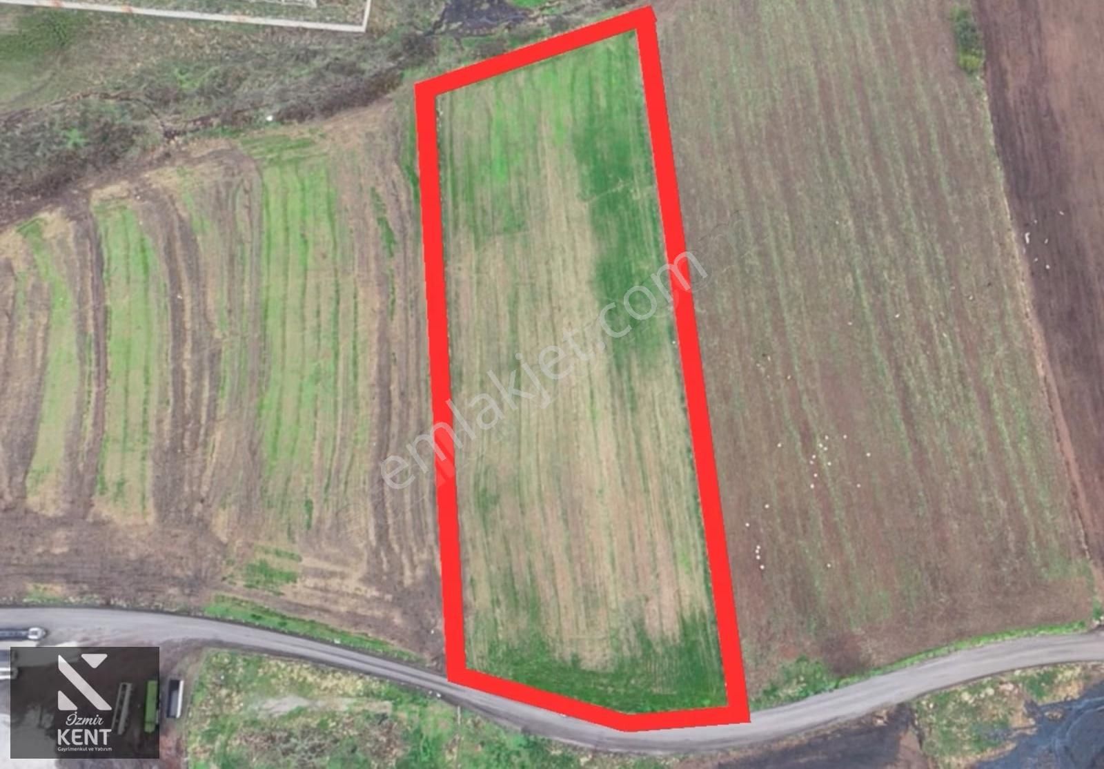 Kemalpaşa Halilbeyli 10.084m2 Arazi Sanayi Bölgesi - Görsel 35