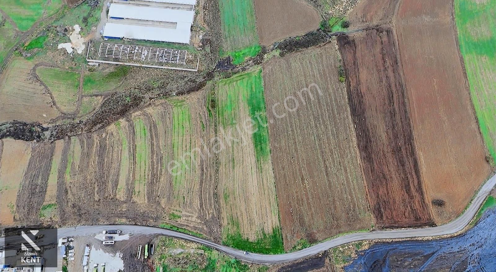 Kemalpaşa Halilbeyli 10.084m2 Arazi Sanayi Bölgesi - Görsel 28