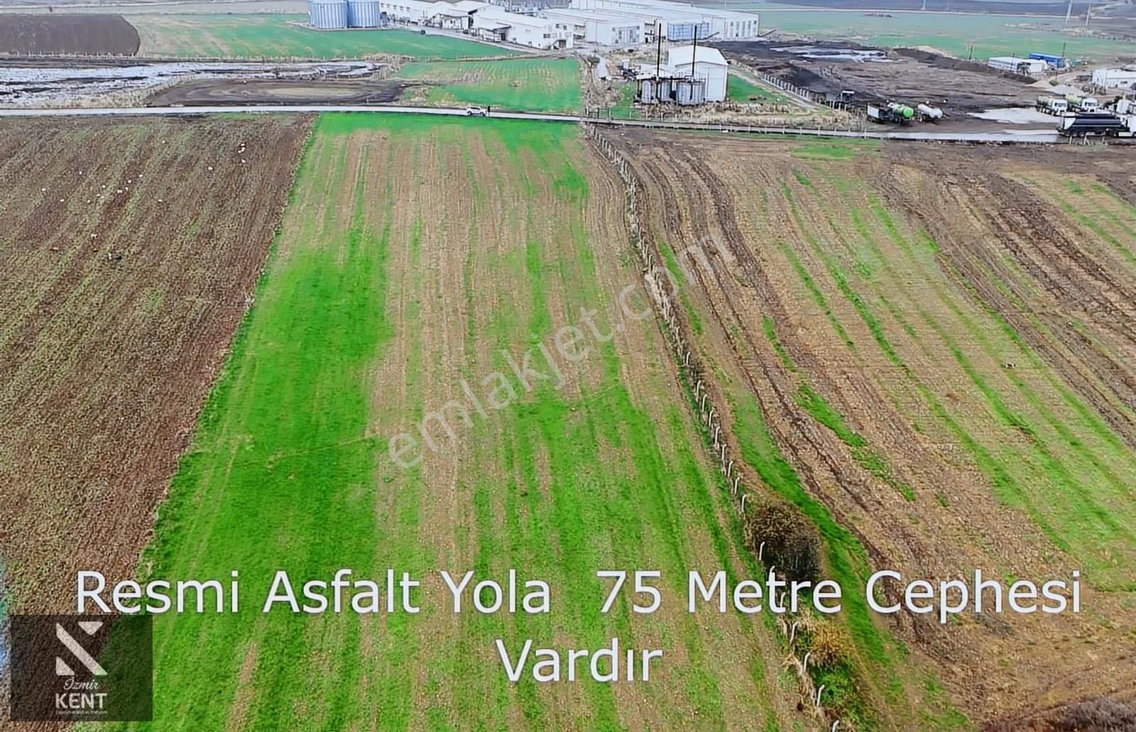 Kemalpaşa Halilbeyli 10.084m2 Arazi Sanayi Bölgesi - Görsel 30