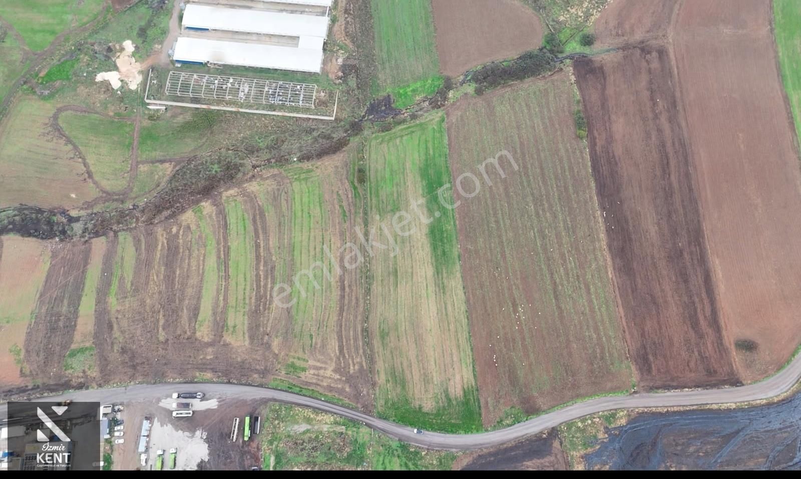 Kemalpaşa Halilbeyli 10.084m2 Arazi Sanayi Bölgesi - Görsel 12