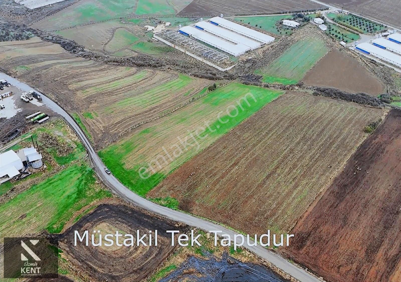 Kemalpaşa Halilbeyli 10.084m2 Arazi Sanayi Bölgesi - Görsel 2