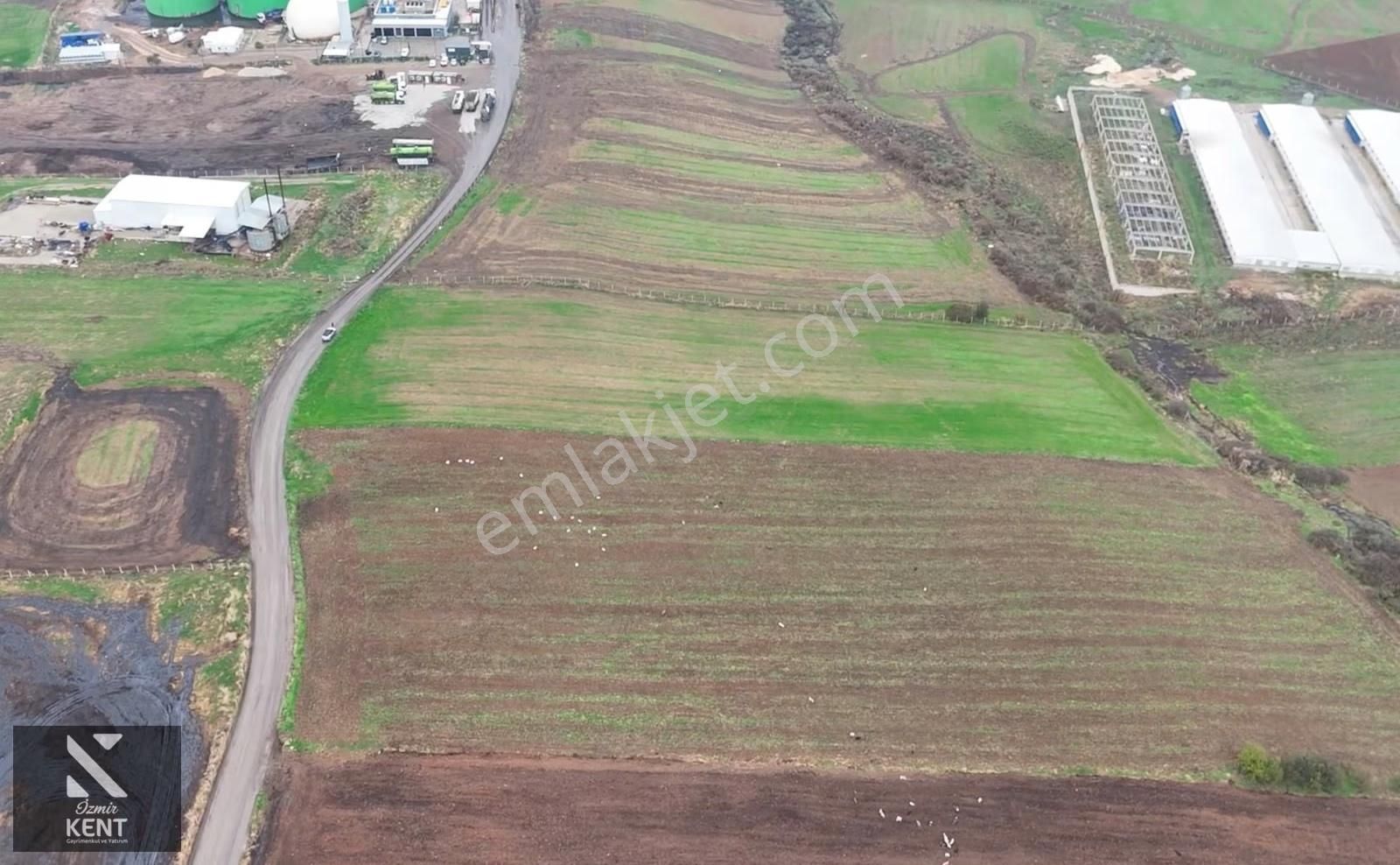 Kemalpaşa Halilbeyli 10.084m2 Arazi Sanayi Bölgesi - Görsel 27