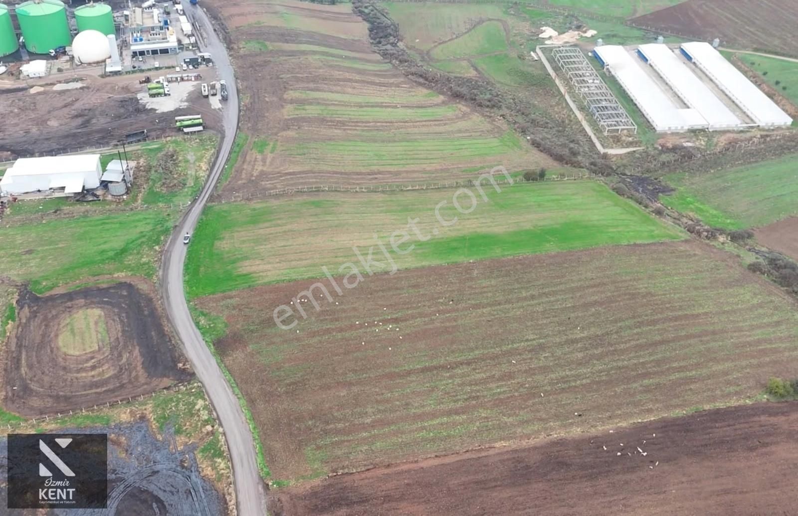 Kemalpaşa Halilbeyli 10.084m2 Arazi Sanayi Bölgesi - Görsel 8