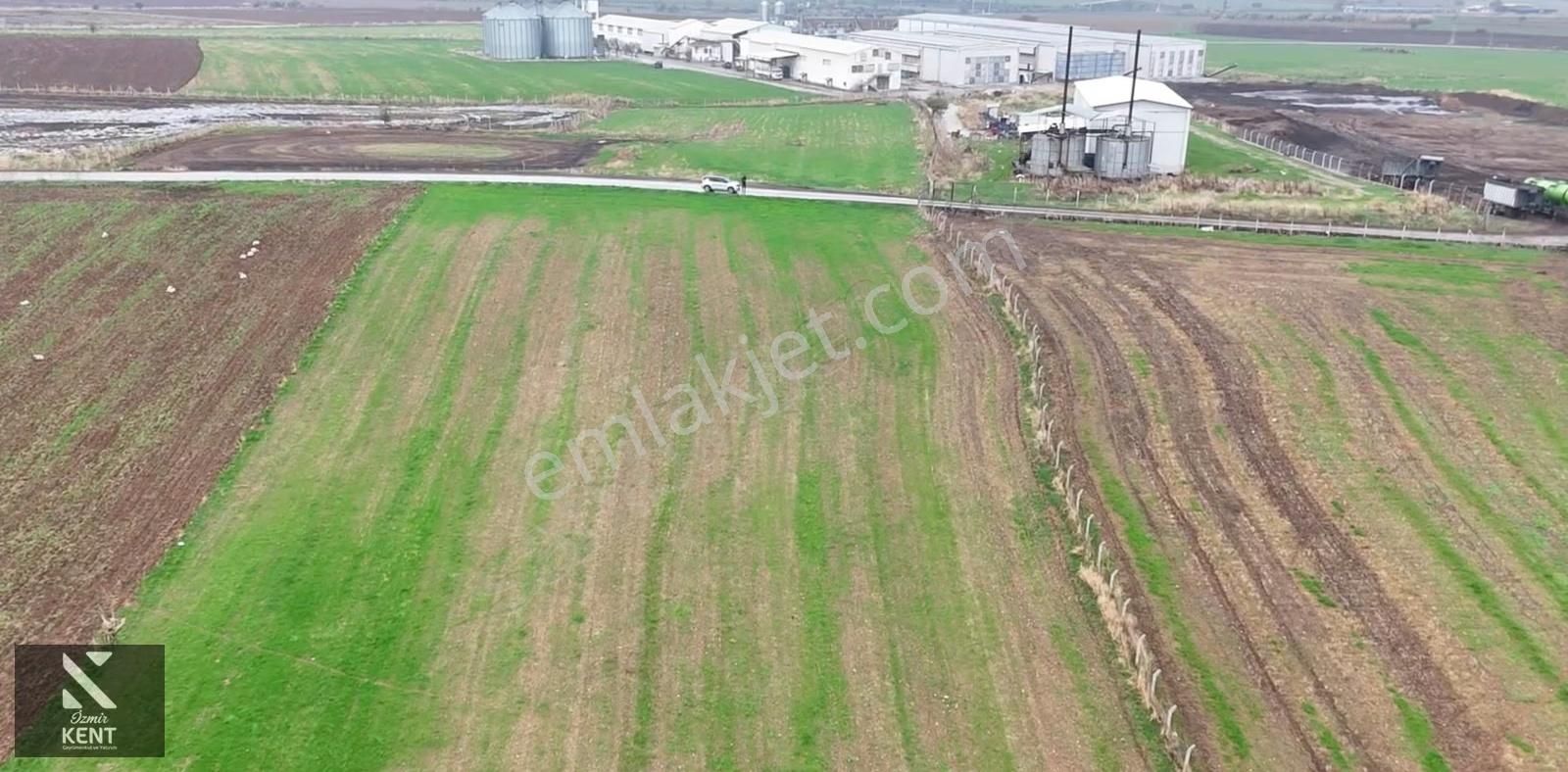 Kemalpaşa Halilbeyli 10.084m2 Arazi Sanayi Bölgesi - Görsel 34