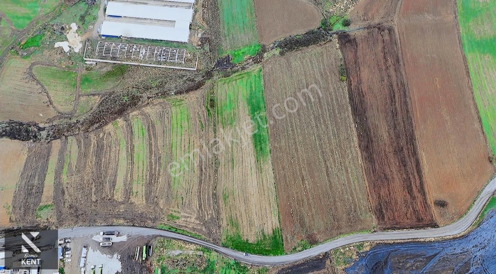 Kemalpaşa Halilbeyli 10.084m2 Arazi Sanayi Bölgesi - Görsel 32