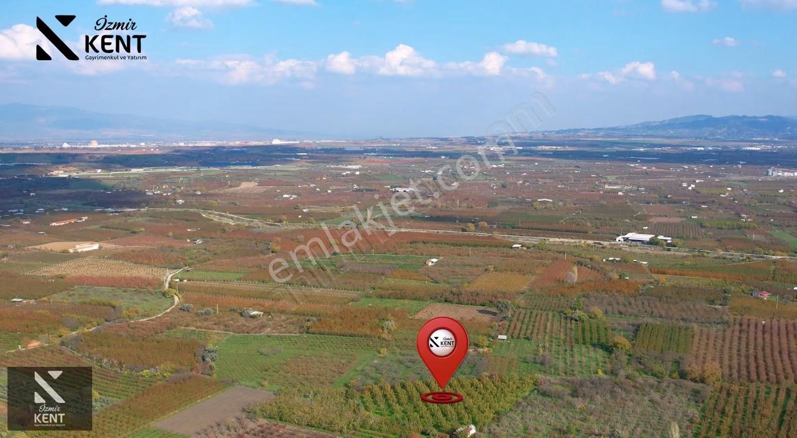 Kemalpaşa Ören Satılık 5630 M2 Bahçe Tek Tapu Elektrik Su Ev - Görsel 19