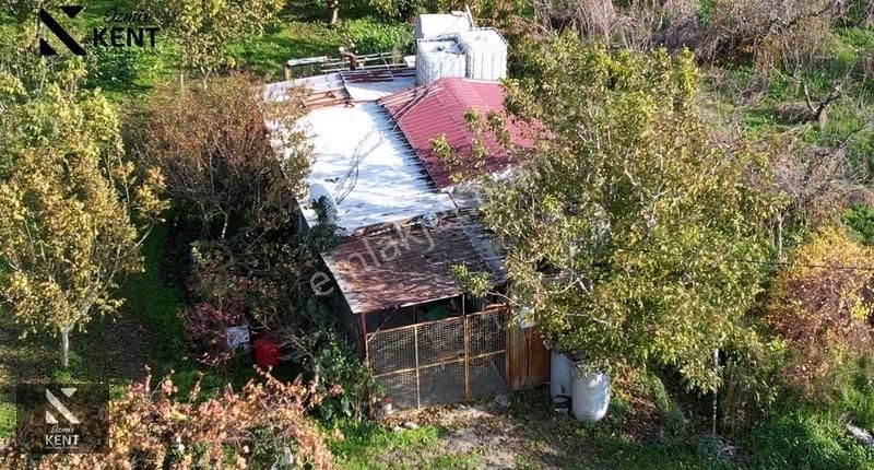 Kemalpaşa Ören Satılık 5630 M2 Bahçe Tek Tapu Elektrik Su Ev - Görsel 30
