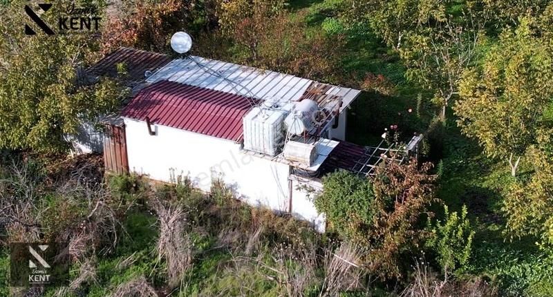 Kemalpaşa Ören Satılık 5630 M2 Bahçe Tek Tapu Elektrik Su Ev - Görsel 14