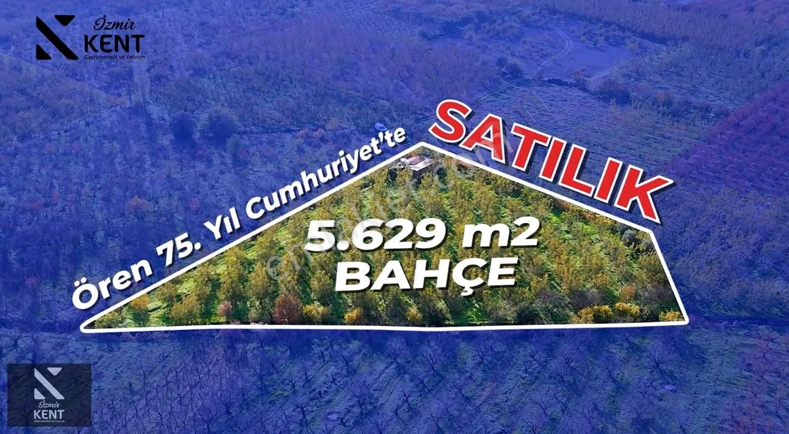 Kemalpaşa Ören Satılık 5630 M2 Bahçe Tek Tapu Elektrik Su Ev - Görsel 29