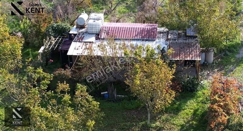Kemalpaşa Ören Satılık 5630 M2 Bahçe Tek Tapu Elektrik Su Ev - Görsel 32