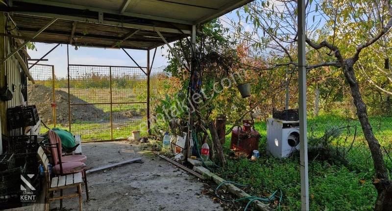 Kemalpaşa Ören Satılık 5630 M2 Bahçe Tek Tapu Elektrik Su Ev - Görsel 7