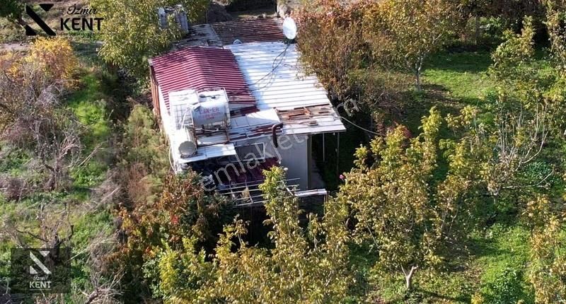 Kemalpaşa Ören Satılık 5630 M2 Bahçe Tek Tapu Elektrik Su Ev - Görsel 12