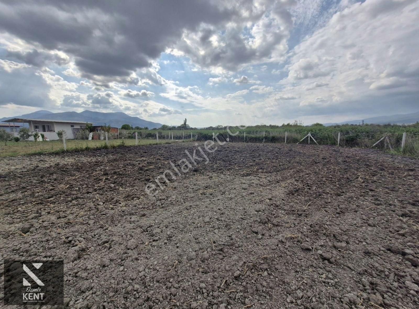 Kemalpaşa Yukarıkızılca Satılık 945 M2 Bahçe - Görsel 20