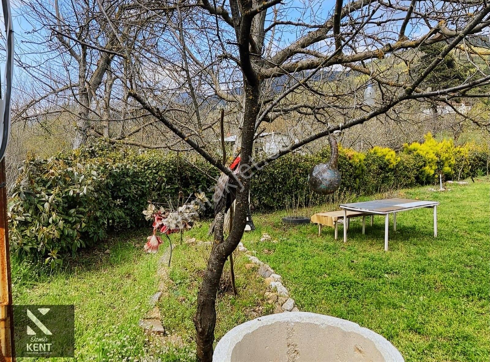 Bayındır Alankıyı Satılık 986m2 Bahçe 3+1 Ev - Görsel 26