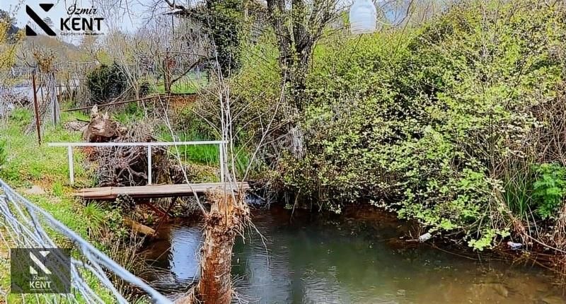 Bayındır Alankıyı Satılık 986m2 Bahçe 3+1 Ev - Görsel 10