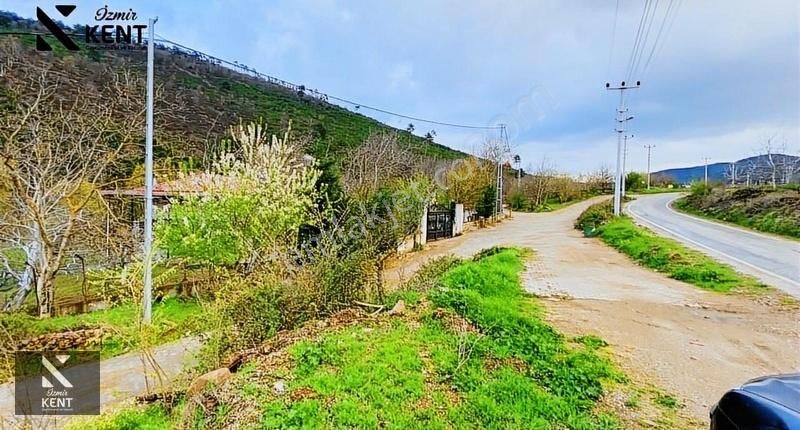 Bayındır Alankıyı Satılık 986m2 Bahçe 3+1 Ev - Görsel 11