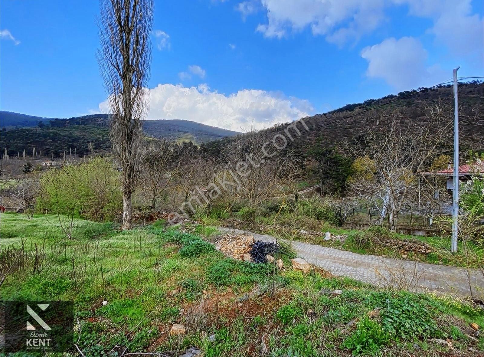 Bayındır Alankıyı Satılık 986m2 Bahçe 3+1 Ev - Görsel 25