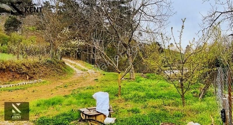 Bayındır Alankıyı Satılık 986m2 Bahçe 3+1 Ev - Görsel 6