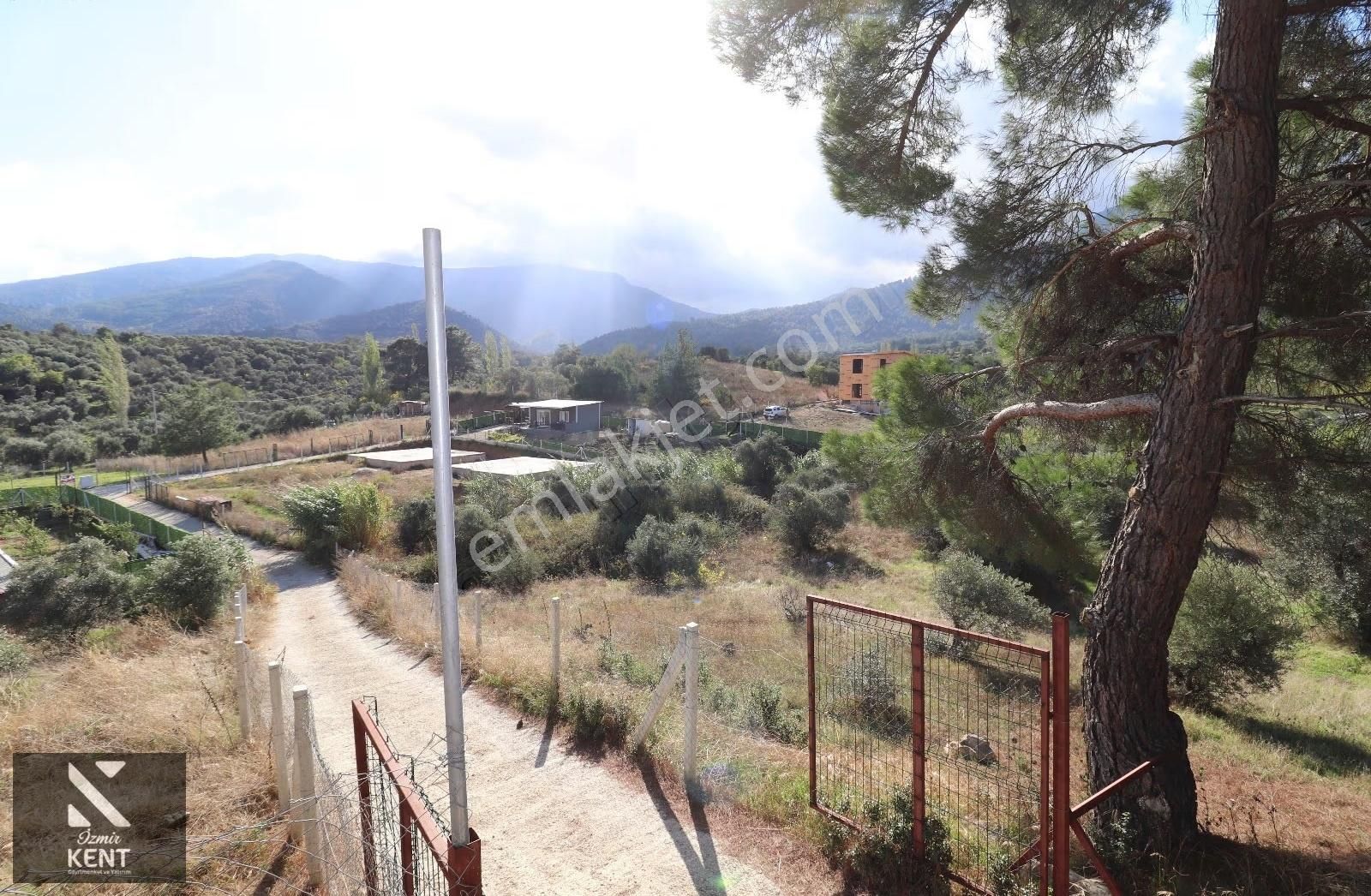 Kemalpaşa Aşağı Kızılca'da 417 M2 Bahçe Elk.su - Görsel 16