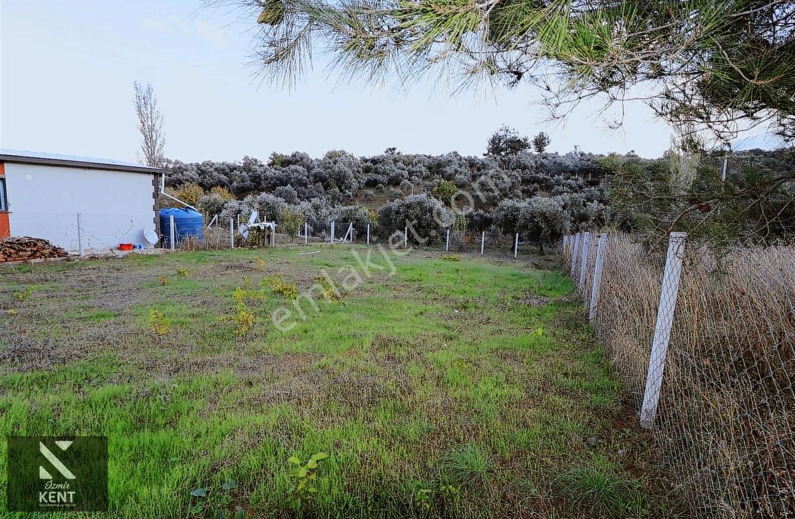 Kemalpaşa Aşağı Kızılca'da 417 M2 Bahçe Elk.su - Görsel 10