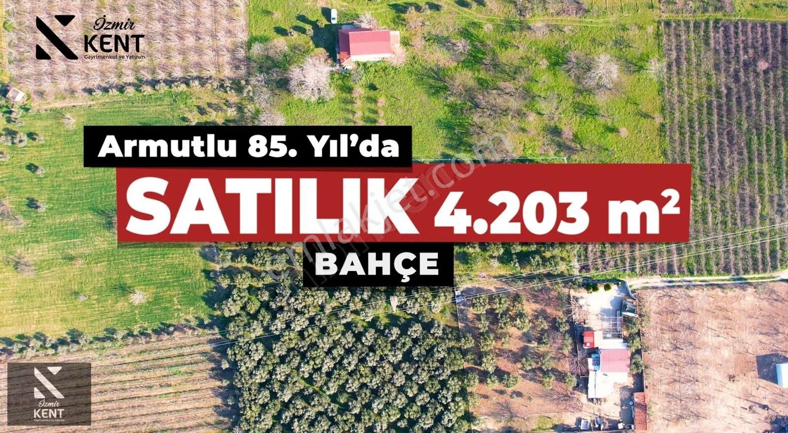 Kemalpaşa Armutlu 85. Yıl 4.203 M2 Satılık Bahçe