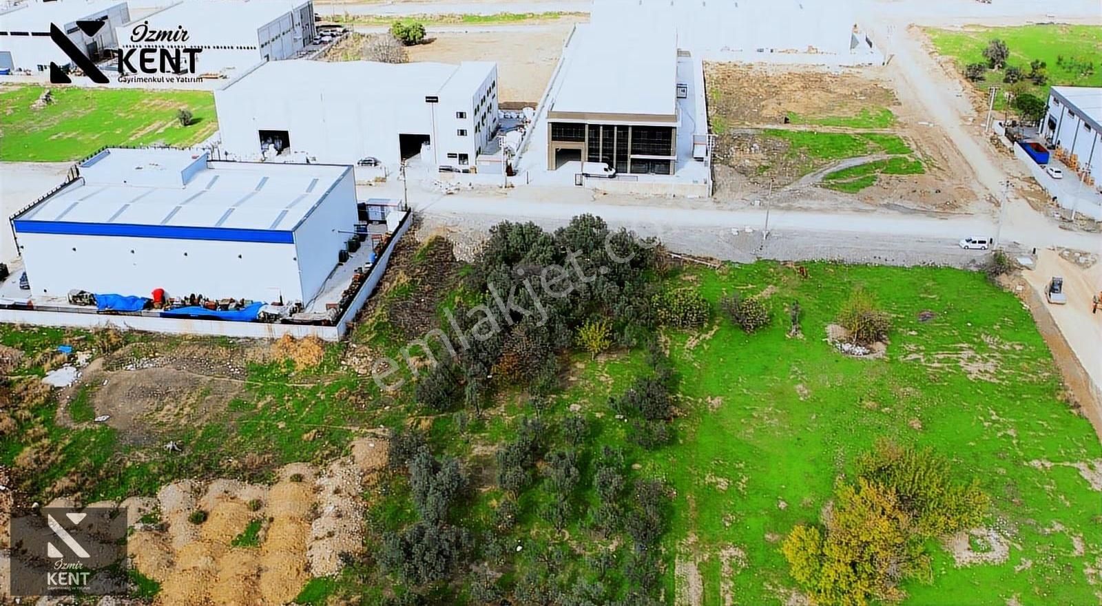 Kemalpaşa Osb 2. Etapta Satılık 3.146 M2 Sanayi İmarlı Arsa - Görsel 4
