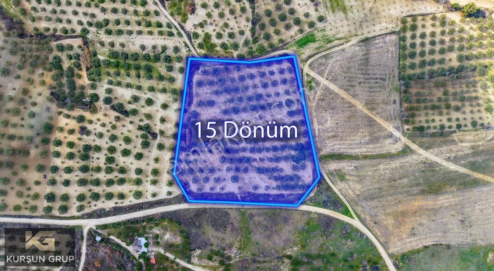 Saruhanlı Pınarbaşı'nda Resmi Yola Cepheli Yatırımlık Zeytinlik