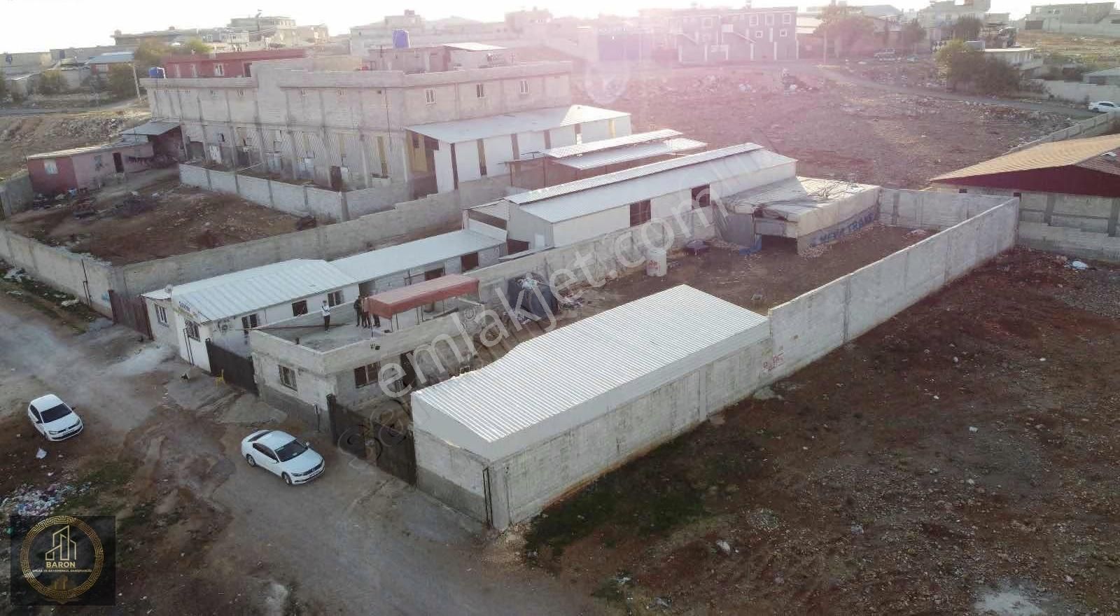 Baron Dan Satılık Çiftlık - Görsel 7