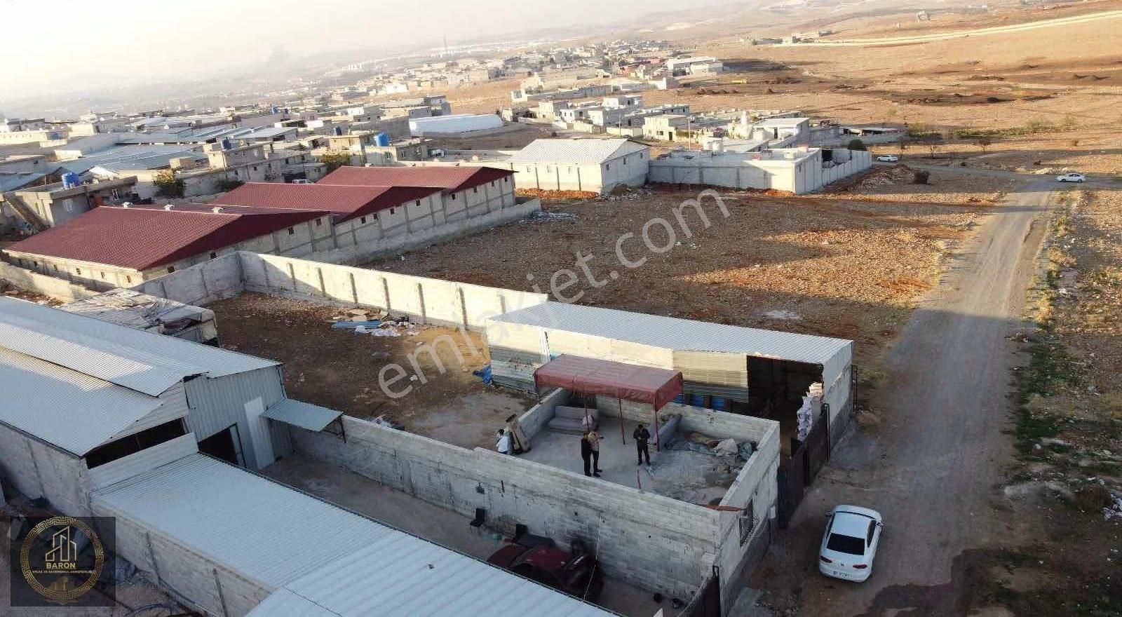 Baron Dan Satılık Çiftlık - Görsel 6