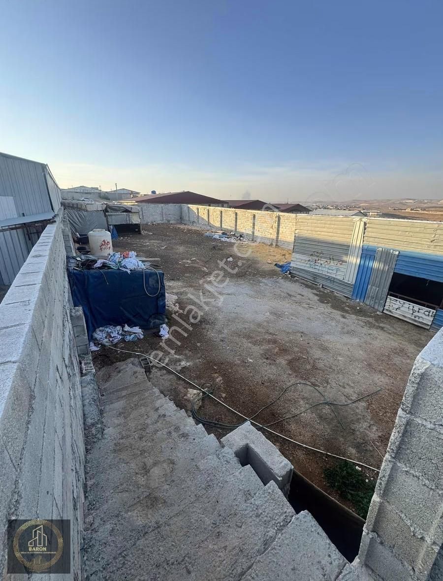 Baron Dan Satılık Çiftlık - Görsel 4