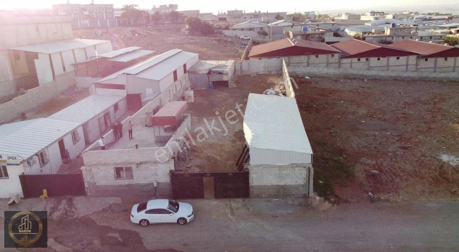 Baron Dan Satılık Çiftlık