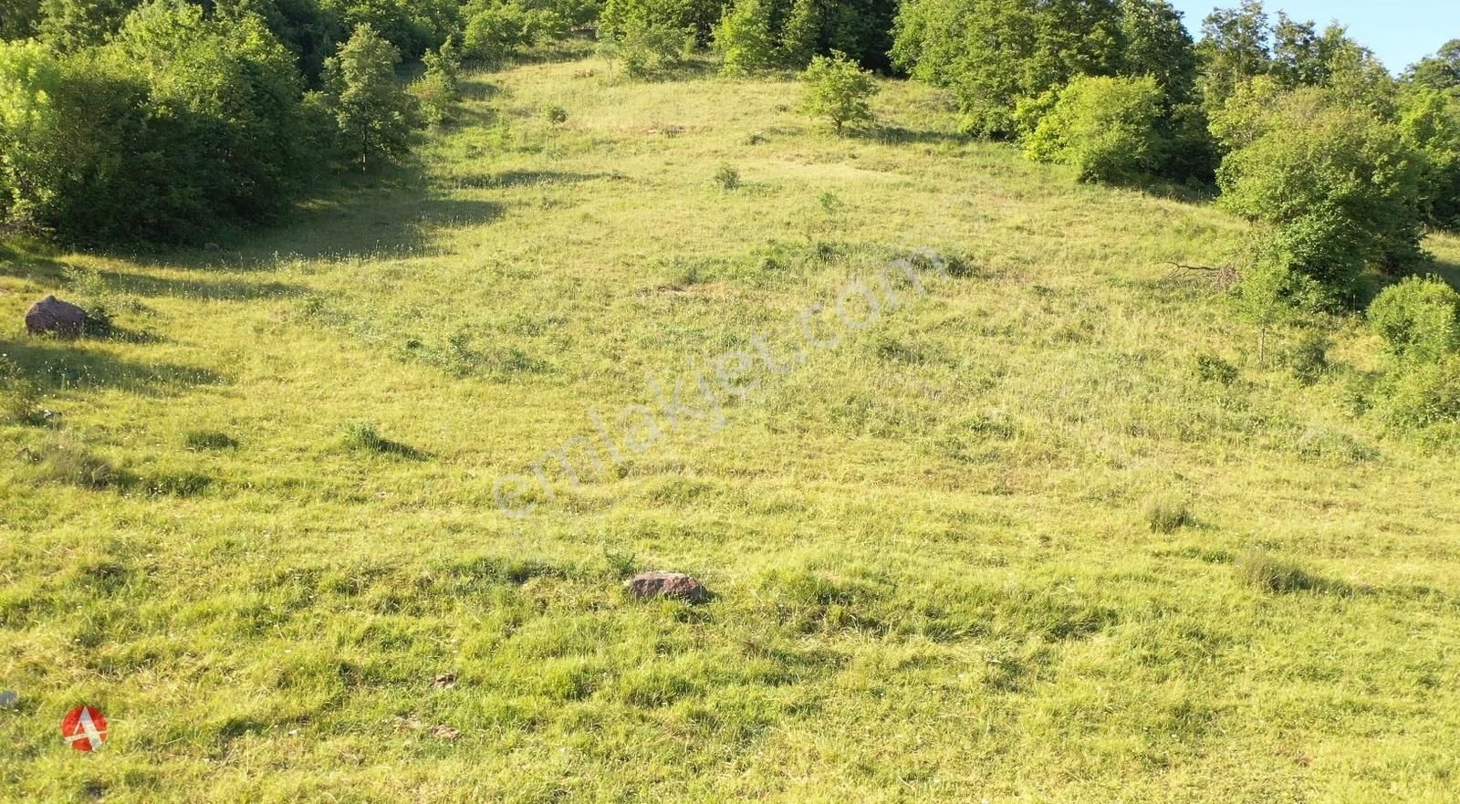 Çanakkale, Biga, Kazmalı Köyü, 4.460 M2 Satılık Arazi