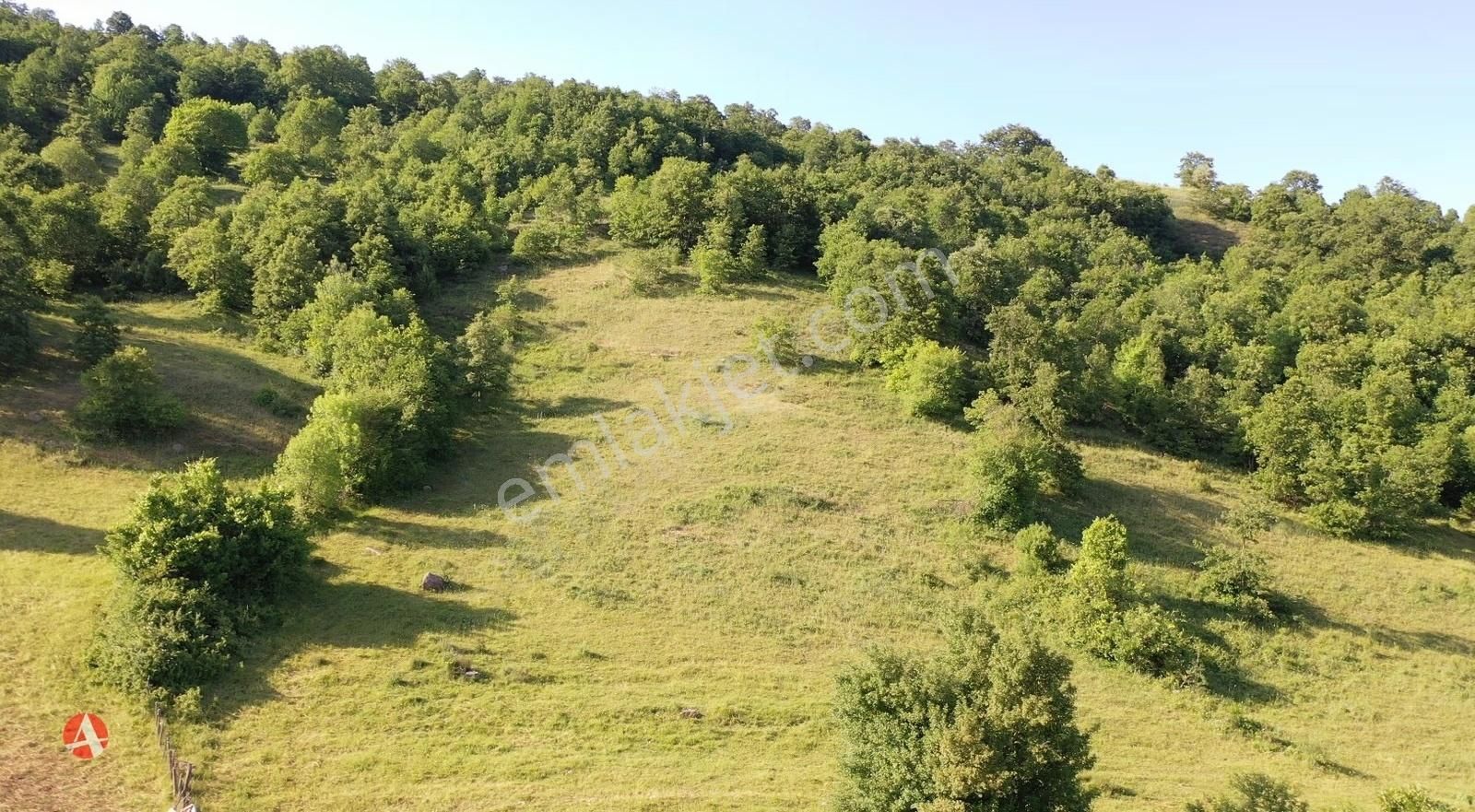 Çanakkale, Biga, Kazmalı Köyü, 4.460 M2 Satılık Arazi - Görsel 6