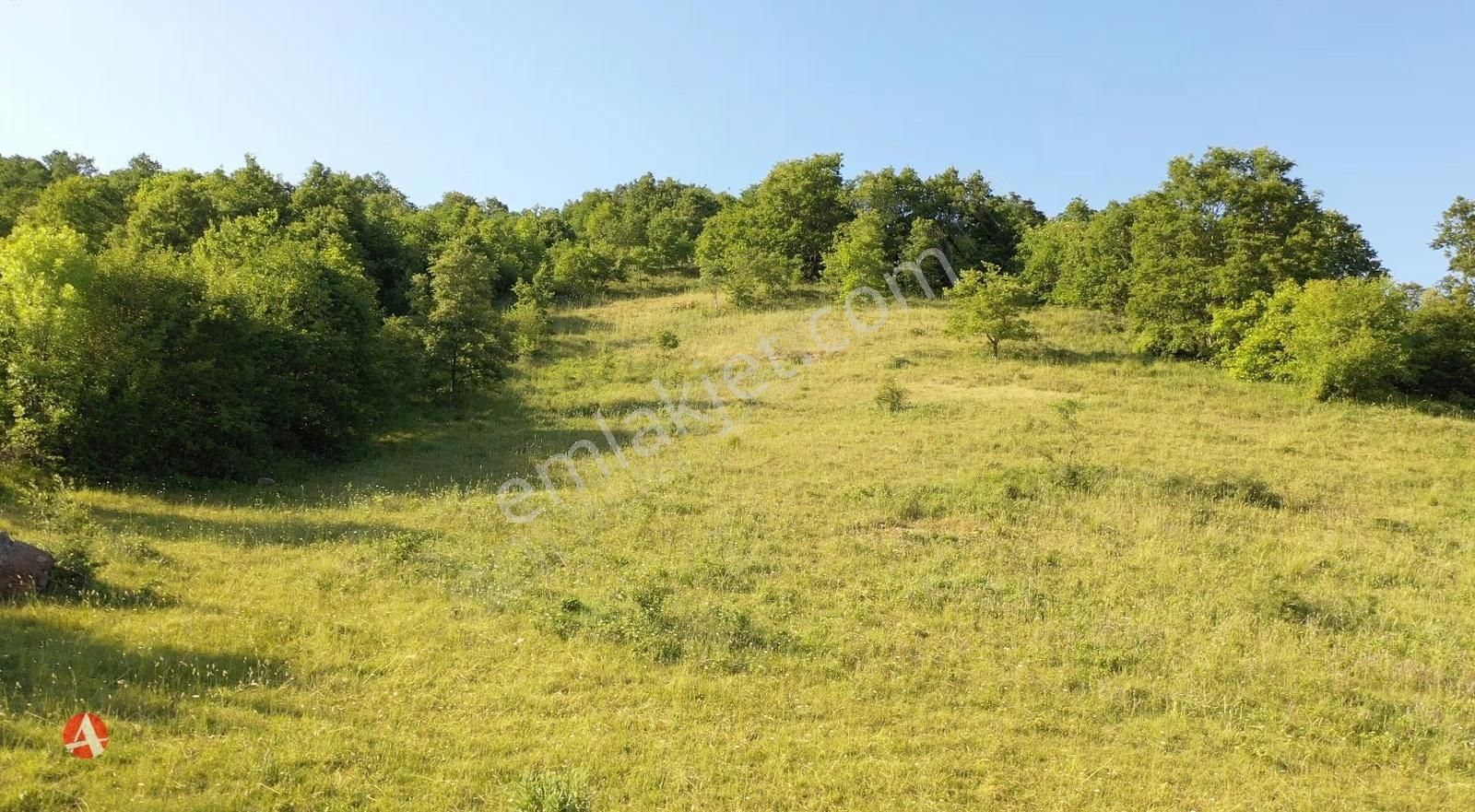 Çanakkale, Biga, Kazmalı Köyü, 4.460 M2 Satılık Arazi - Görsel 4