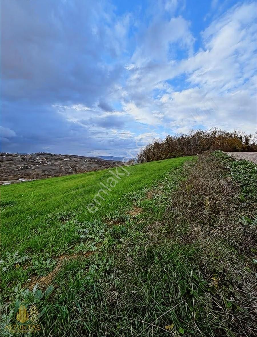 Altuntaş'tan Körfez Himmetli Köyünde Satılık 5761m² Tarla - Görsel 8