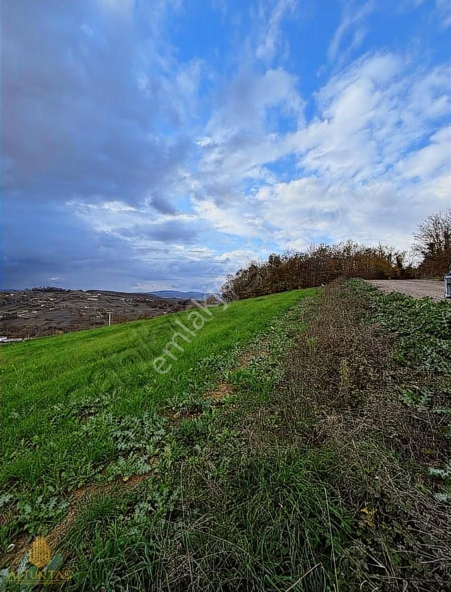 Altuntaş'tan Körfez Himmetli Köyünde Satılık 5761m² Tarla - Görsel 12