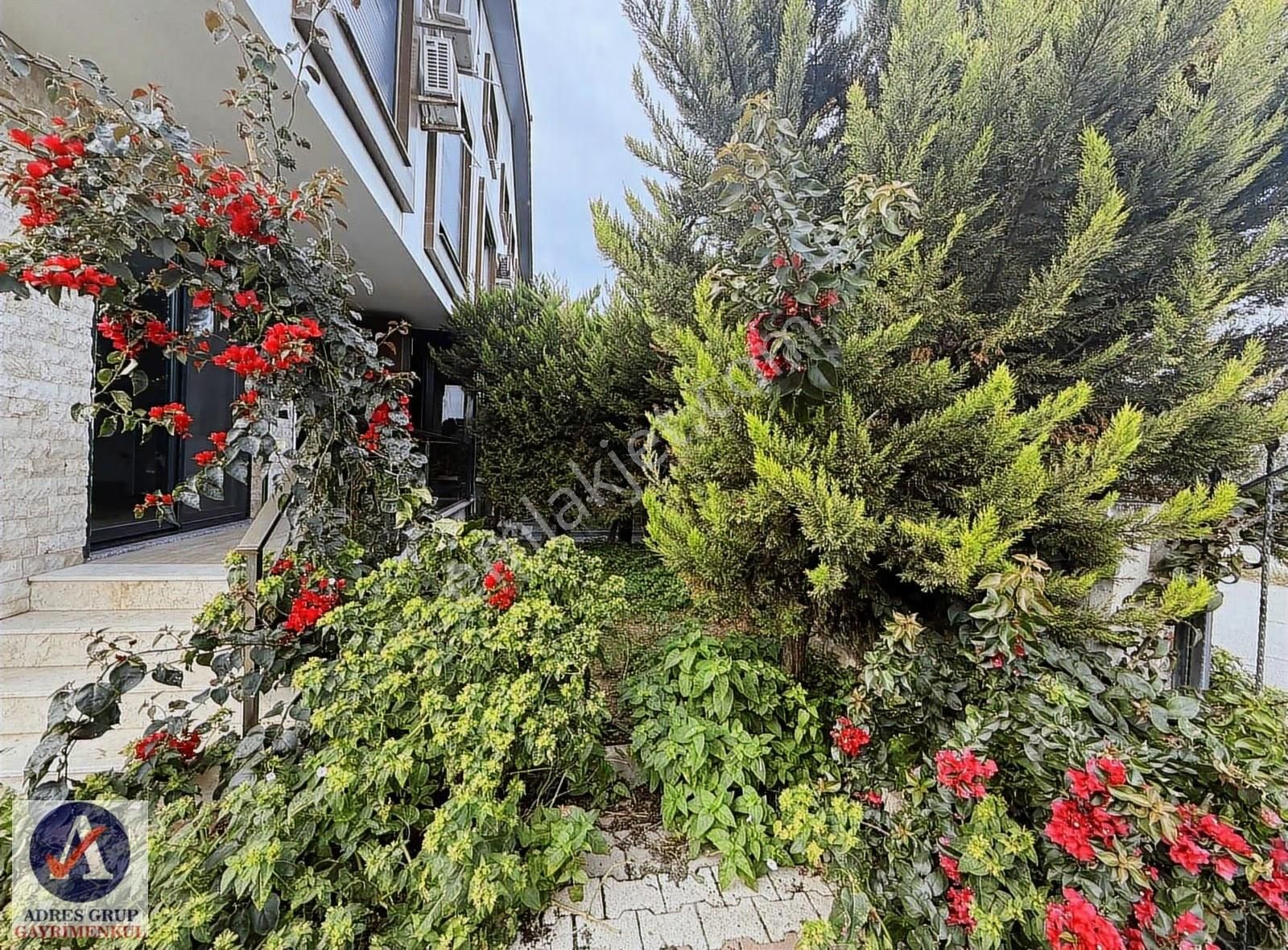 Zeytinalanda Muhteşem Kiralık Villa! - Görsel 13