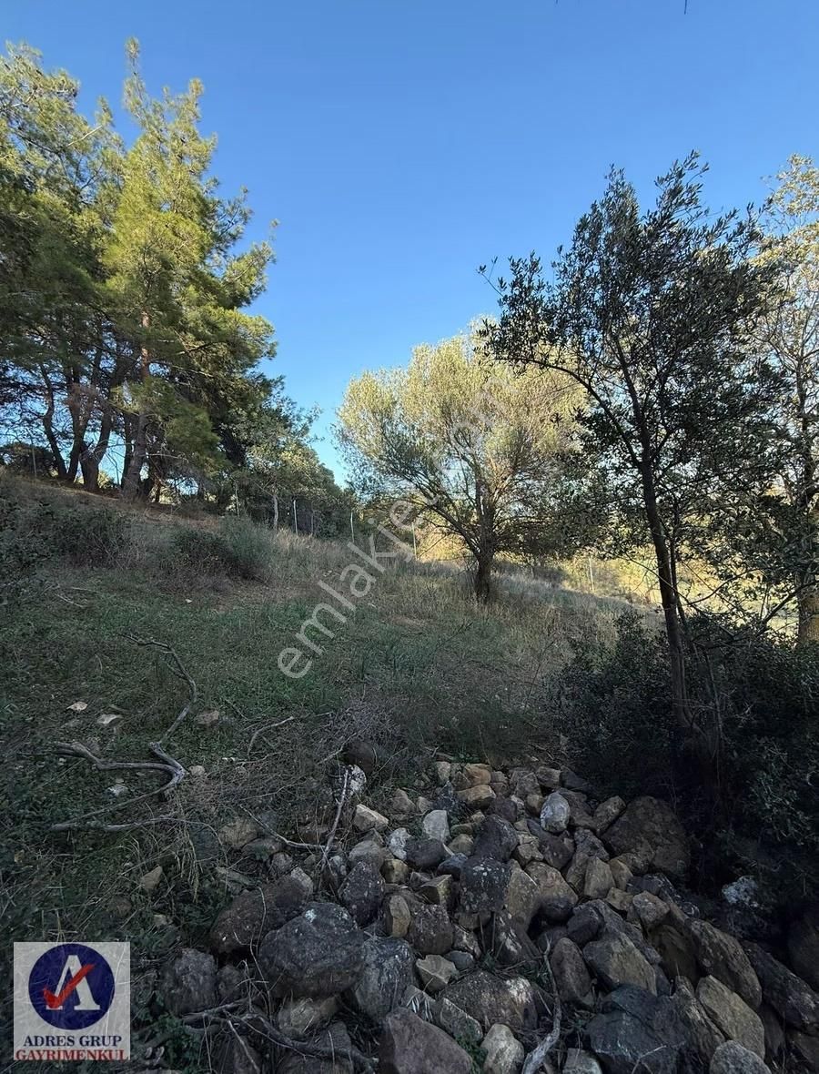 İzmir Güzelbahçede Ticari İmarlı Satılık Tarla! - Görsel 4