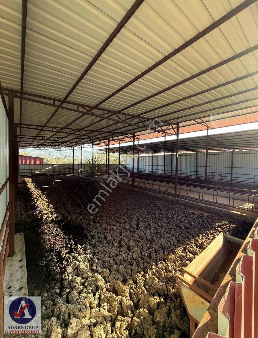 İzmir Güzelbahçede Ticari İmarlı Satılık Tarla! - Görsel 8