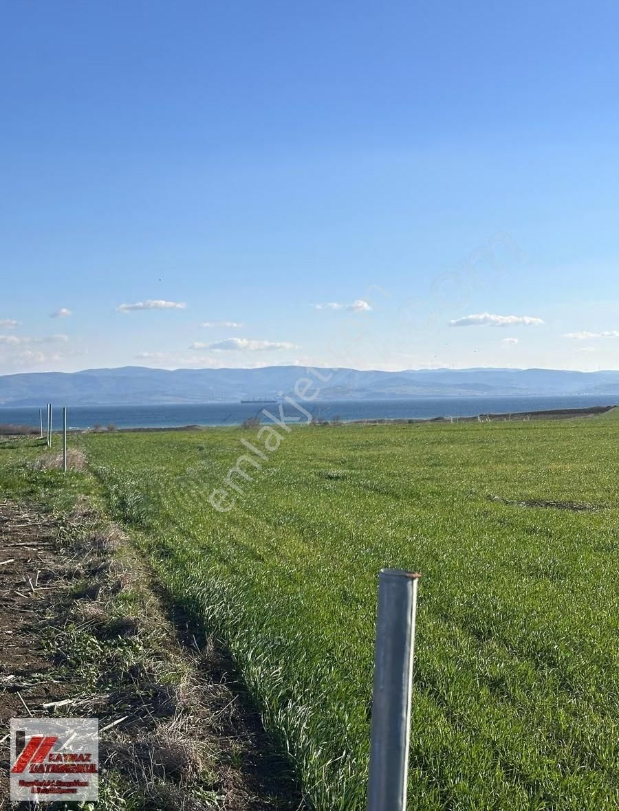 Gelibolu Demirtepede Köprü Manzaralı Muhteşem Konumda Arsa!!