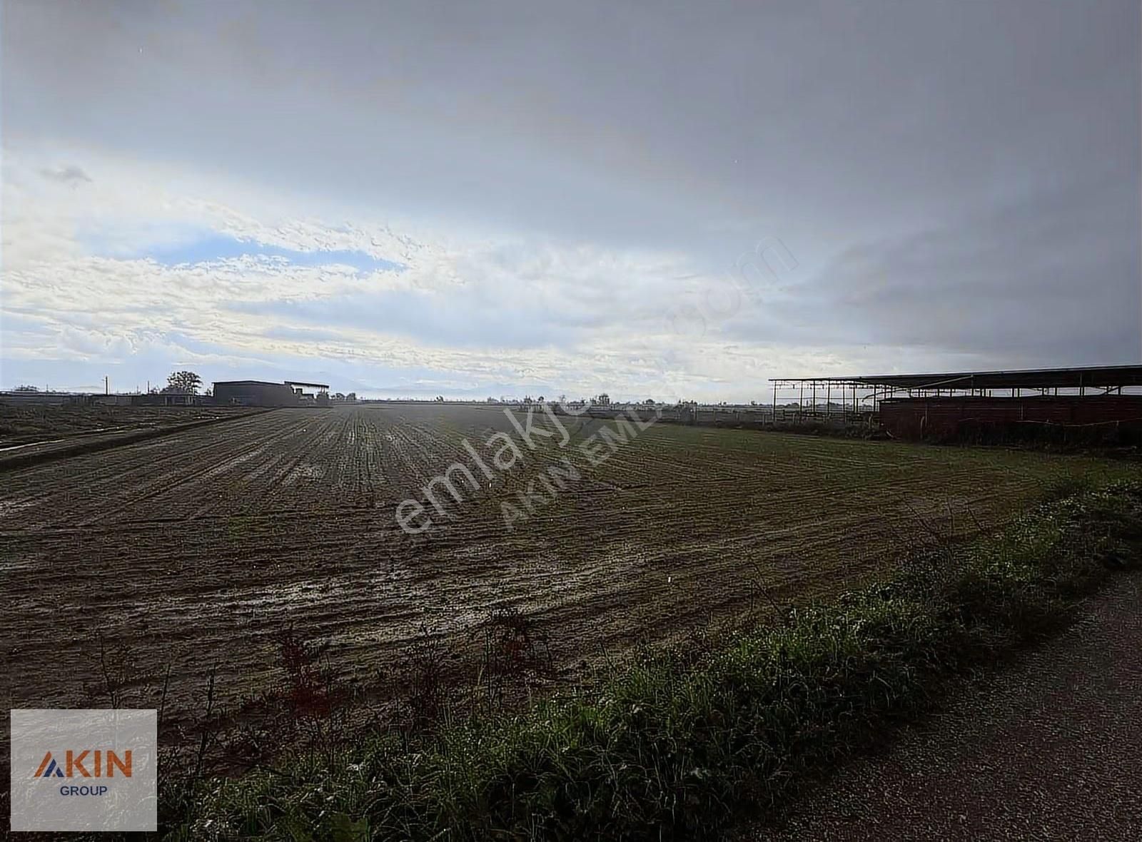 Bayındır Furunlu Satılık Yol Kenarı Tarla - Görsel 6