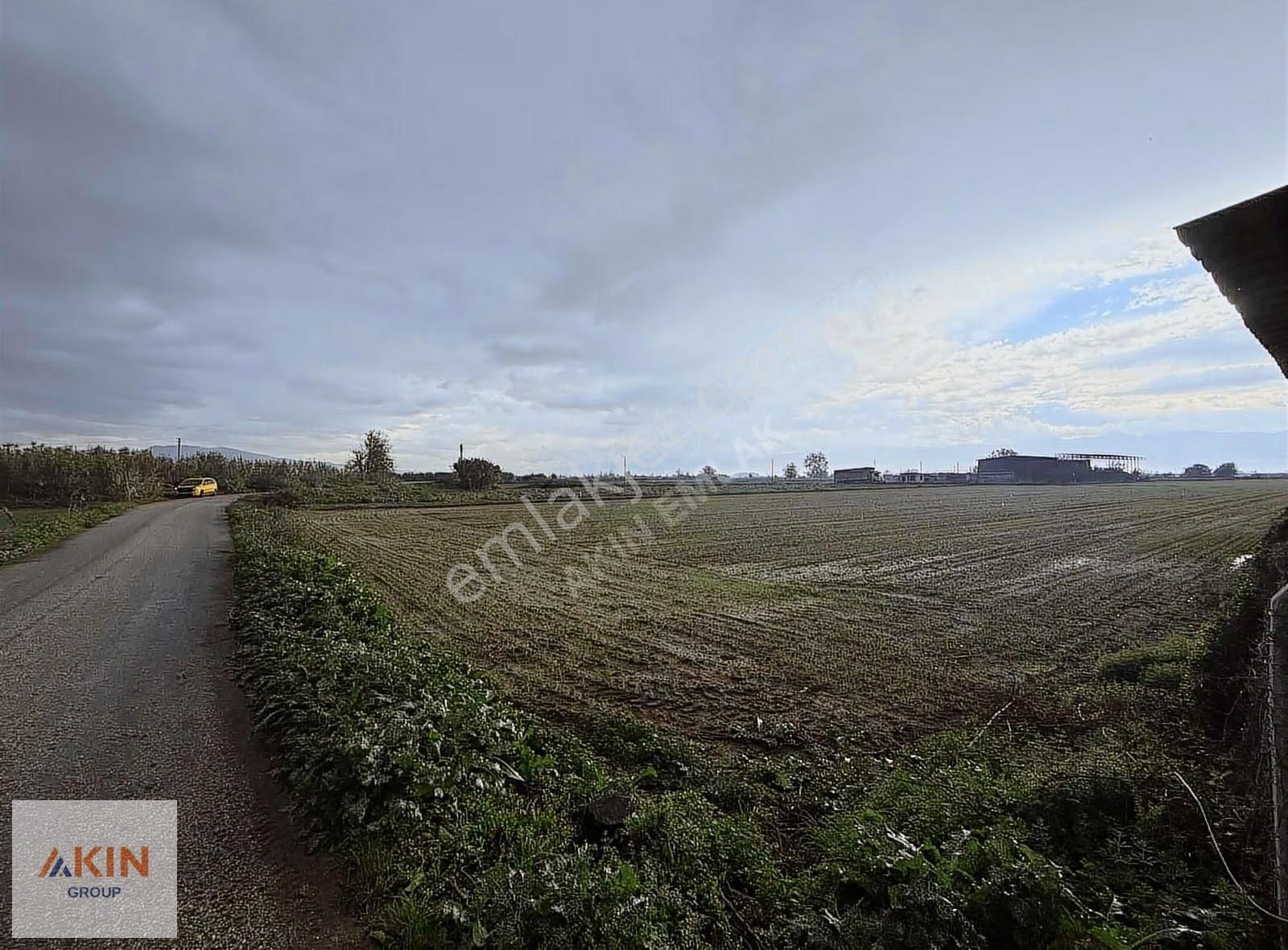 Bayındır Furunlu Satılık Yol Kenarı Tarla - Görsel 3