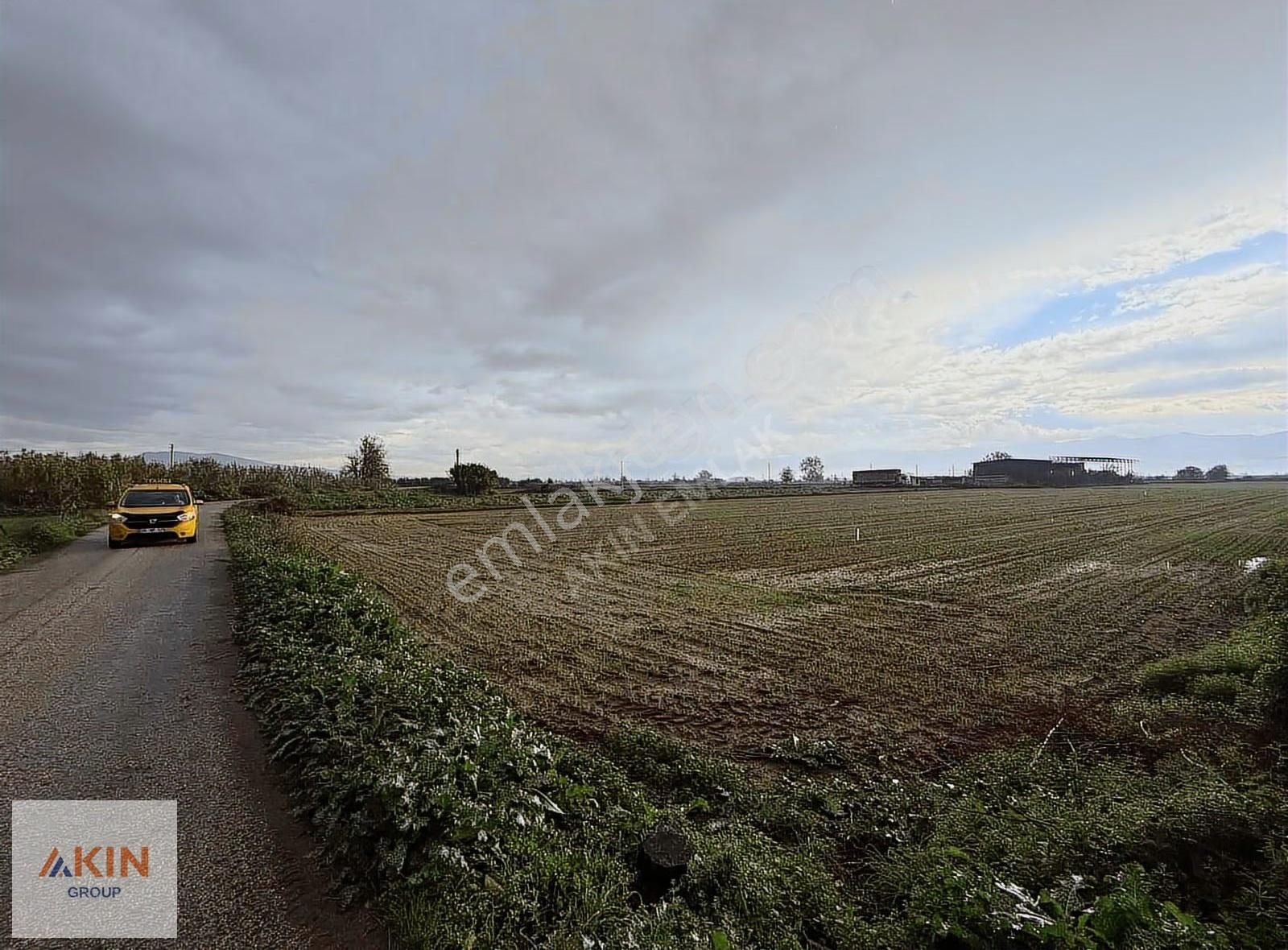 Bayındır Furunlu Satılık Yol Kenarı Tarla - Görsel 13