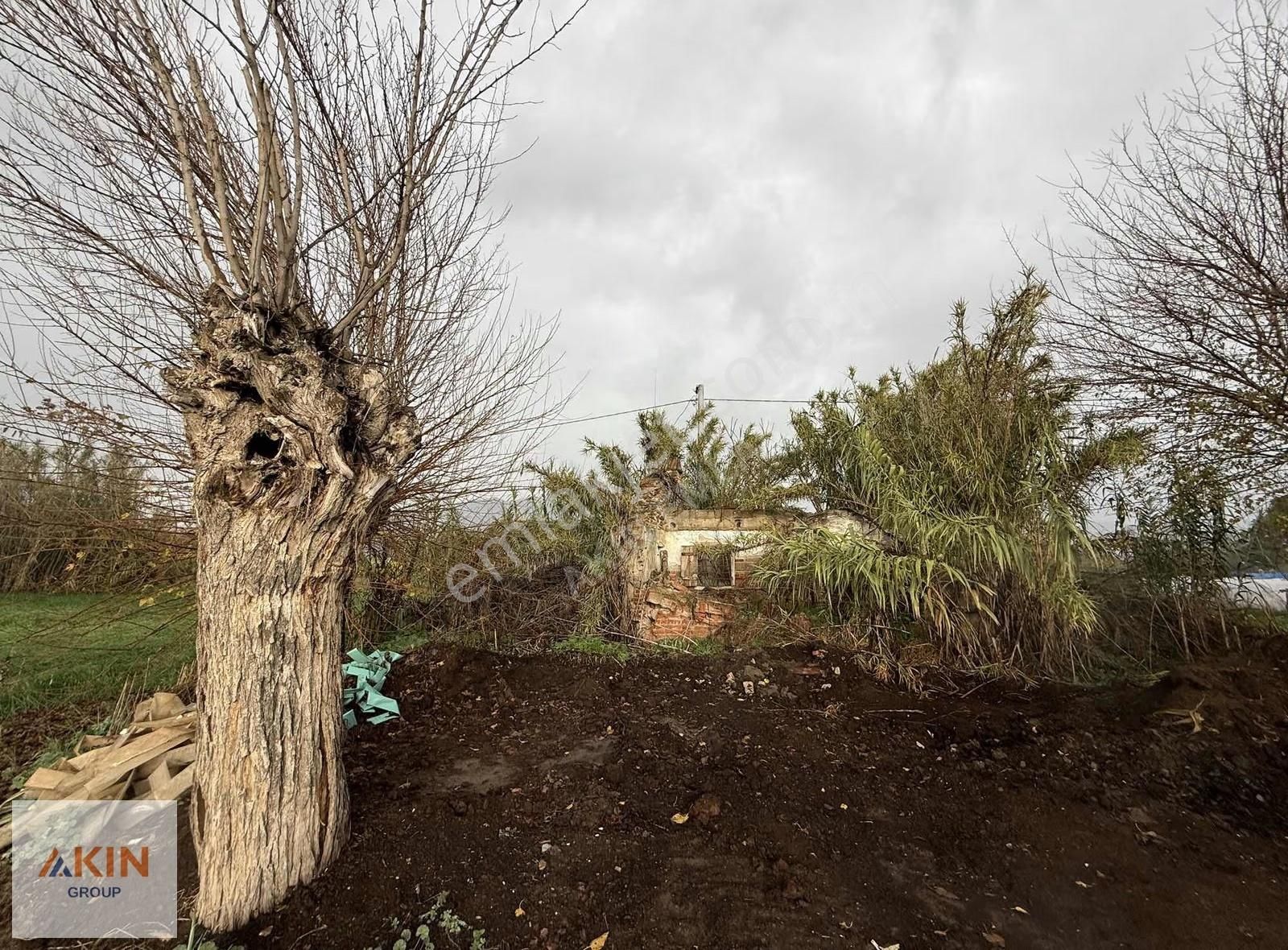 Bayındır Furunlu Köy İçi Satılık Tarla - Görsel 9