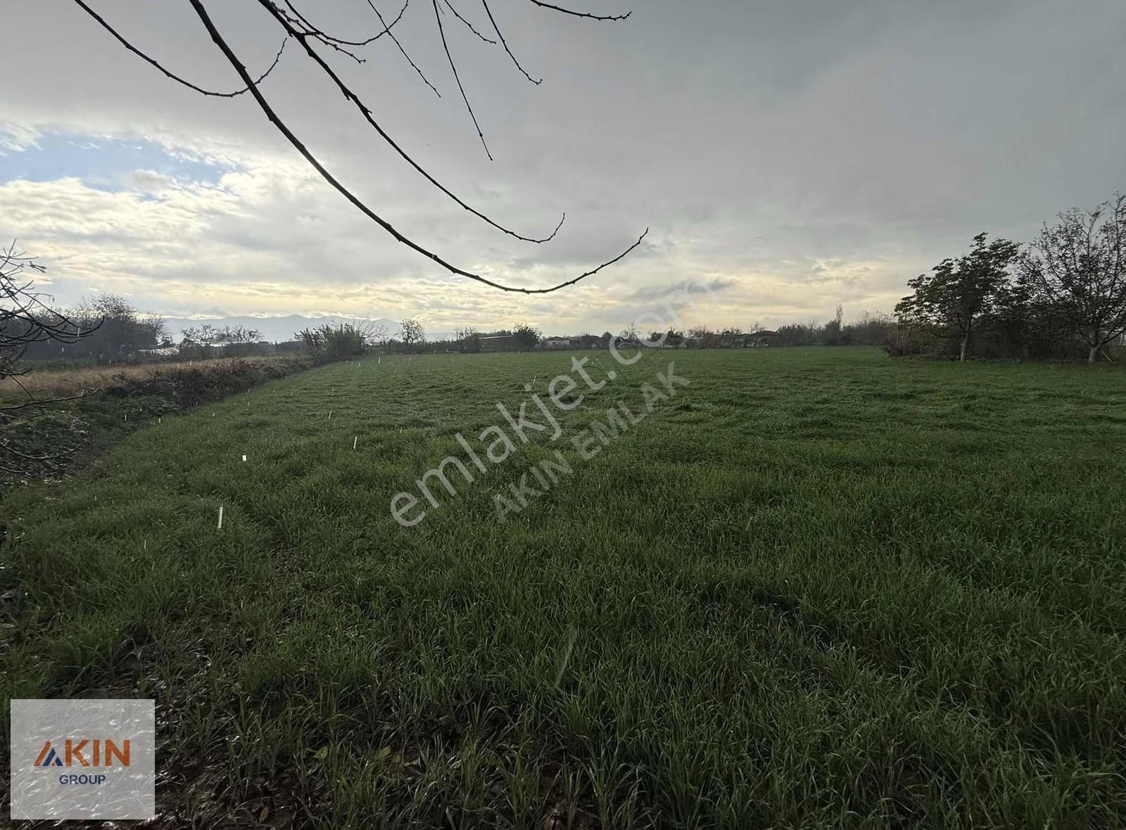 Bayındır Furunlu Köy İçi Satılık Tarla - Görsel 12