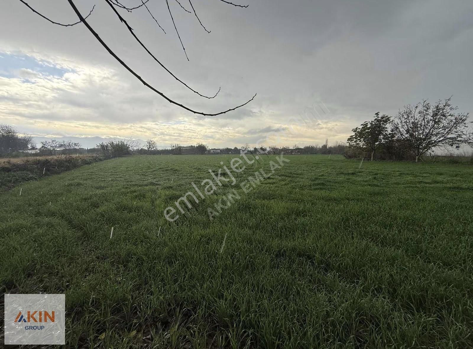 Bayındır Furunlu Köy İçi Satılık Tarla - Görsel 4