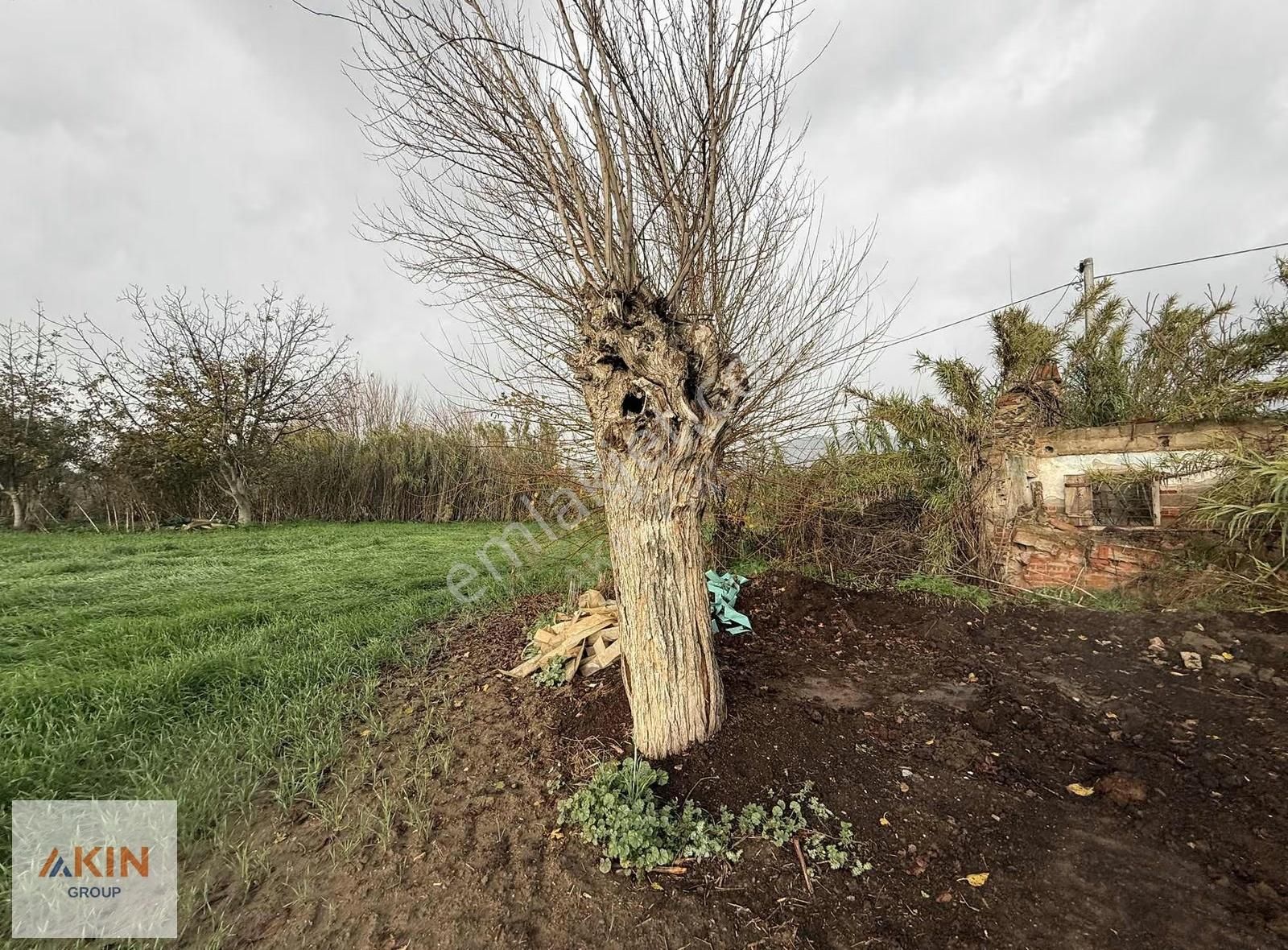 Bayındır Furunlu Köy İçi Satılık Tarla - Görsel 5